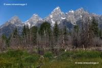 011A Schwabacher landing IMG 0084